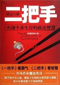 二把手(出书版)